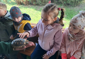 Bezpośredni kontakt z żółwiem podczas zwiedzania ZOO w Borysewie.
