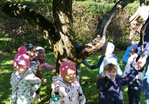 Dzieci z grupy "Motylków" pod przedszkolną jabłonią.