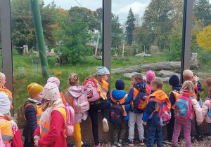 grupa dzieci wypatruje za szybą tygrysa