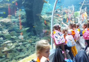 grupa dzieci ogląda rafę koralową w podwodnym tunelu