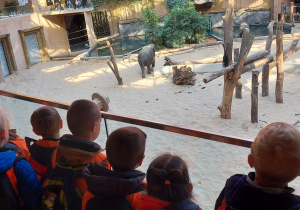 grupa dzieci stoi na tarasie widokowym i przygląda się słoniowi