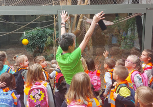 pani przewodnik opowiada dzieciom o orangutanach unosząc obie ręce do góry