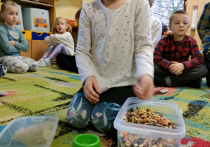 Dziewczynka ze "Skrzatów" sypie jedzenie do miseczki chomika.