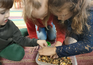 Troje dzieci z "Kaczuszek" sypie jedzenie do miseczki chomika.