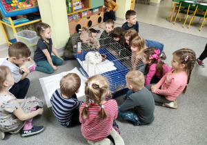 Dzieci z grupy Biedronek podczas spotkania ze zwierzątkiem domowym-królikiem.