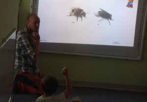 Jakie znamy owady zapylające? - praca przy tablicy interaktywnej.