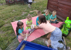 Kilkoro dzieci z Biedronek w trakcie spotkania z królikiem - Baksiem.