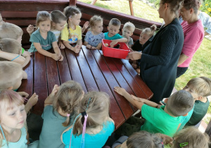 Wszystkie dzieci z grupy Biedronek podczas spotkania z kurczaczkami.