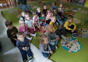 Dzieci z grupy "Motylków" oglądają film edukacyjny o chomiku.