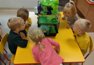 Kilkoro dzieci z "Motylków" przy stoliku ogląda chomika w klatce.