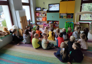 Dzieci z grupy "Skrzatów" oglądają film edukacyjny o chomiku.