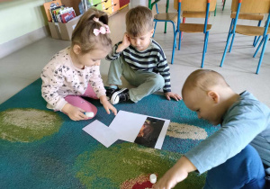 Kilkoro dzieci z "Żabek" składa w całość i nakleja na kartkę ilustrację chomika.