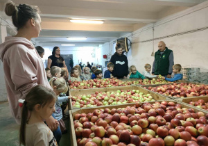P. Dariusz Szpakowski prezentuje dzieciom ogromną ilość jabłek.