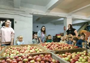 Dzieci słuchają o tym, iż występują różne odmiany jabłek i owoce te różnią się od siebie.