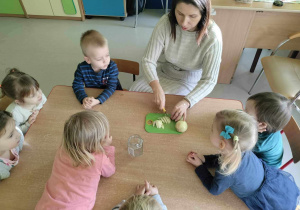 Ciocia Iwonka prezentuje dzieciom pokrojoną cebulkę.