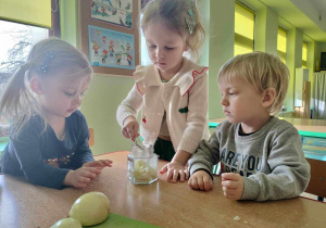 Przygotowujemy syrop z cebuli - Dziewczynka z maluszków wsypuje do słoiczka cukier.
