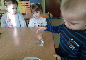 Chłopiec położył cebulę na słoiczku wypełnionym wodą.