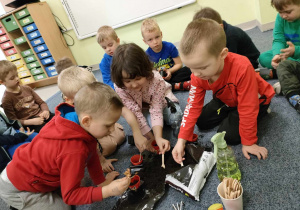 Igorek, Wojtuś, Ala oraz Adaś samodzielnie sadzą swoje cebulki w ozdobionych doniczkach.
