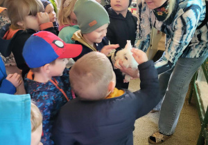 Dzieci ostrożnie głaszczą króliczka.