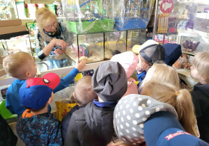 Dzieci oglądają chomiki w akwariach.