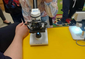 Dziewczynka z grupy starszej korzysta z mikroskopu.