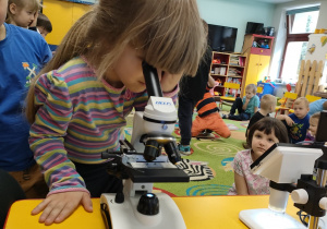 Karolina korzysta z mikroskopu.