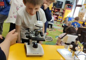 Kajtek korzysta z mikroskopu.