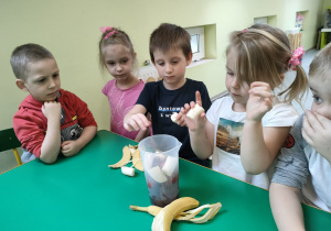 Przygotowanie zdrowej przekąski - "Wiosenne smoothie" - Kajtuś i Roksanka obrali banany ze skórki, podzielili na cząstki i wkładają do kielicha blendera.
