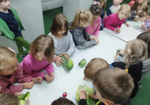 Dzieci z grupy najstarszej próbują zrobić swojego warzywnego gołąbka.