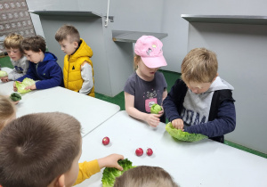 Dzieci z grupy "Biedronek" samodzielnie przygotowują swoje, warzywne gołąbki z kapusty i rzodkiewek.