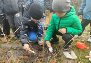 Dwóch chłopców zasypuje dołki z cebulkami ziemią.