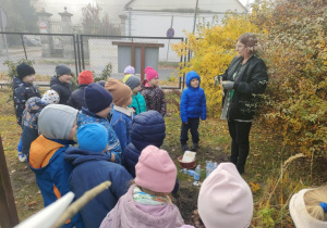 Ciocia Justynka prezentuje dzieciom cebulki krokusów.