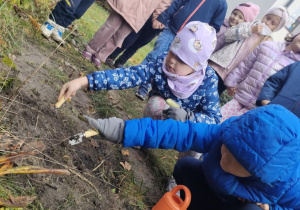 Dwoje dzieci sadzi cebulki krokusów.