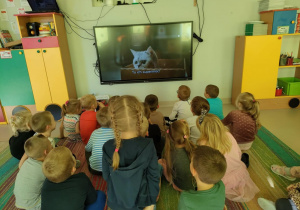 "Pszczółki" oglądają film edukacyjny nt. zwierząt domowych na ekranie multimedialnym.