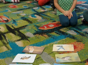 Ogólnopolski Projekt Edukacyjny "EkoPrzygody z Żywiołkami"- moduł III powietrze