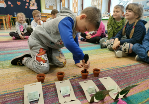 Chłopiec przygotowuje dziurki w mini-doniczkach na nasiona.