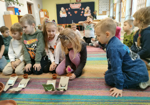 Kilkoro dzieci wstępnie nawadnia zasiane nasionka ziół w mini-doniczkach za pomocą spryskiwacza z wodą.