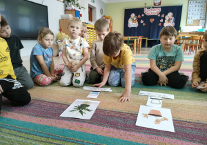 Chłopcy starsi odczytują podpisy i dopasowują je do odpowiednich obrazków roślin.