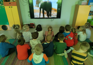 Dzieci siedzą na dywanie i oglądają na ekranie multimedialnym film edukacyjny nt. słoni.