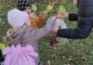Dzieci zbierają liście w pobliskim parku