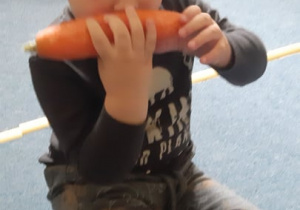 Badamy marchewkę noskiem.