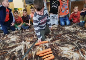 Matematyczne zabawy z marchewkami - ćwiczenie w wykonaniu Maksa