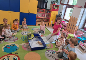 Rozmawiamy nt. najważniejszych elementów wyposażenia klatki szynszyli.
