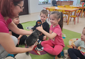 Dzieci z grupy "Żabek" po kolei i ostrożnie głaszczą zwierzaka.