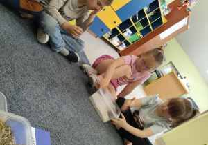 "Motylki" sprawdzają, jaki jest w dotyku pyłek wulkaniczny.