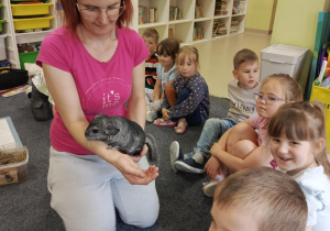 Spotkanie ze zwierzątkiem domowym - szynszylą w grupie "Motylków".