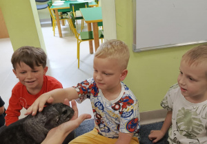 Dzieci z grupy "Motylków" delikatnie głaszczą zwierzątko domowe - szynszylę.