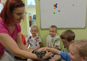 Dzieci z grupy "Motylków" delikatnie głaszczą zwierzątko domowe - szynszylę.