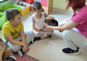 Dzieci z grup najstarszych po kolei ostrożnie głaszczą zwierzątko.