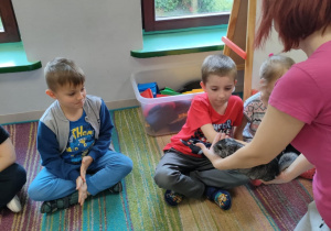Dzieci z grup najstarszych po kolei ostrożnie głaszczą zwierzątko.